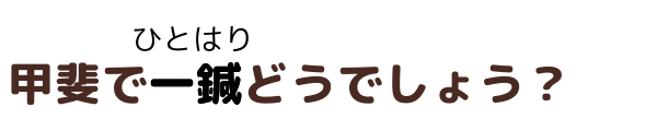 甲斐で一鍼どうでしょう?